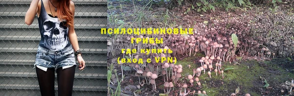 мефедрон мука Новозыбков