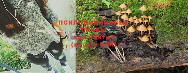 гидропоника Нея
