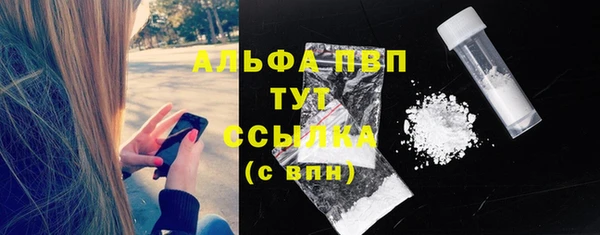 прущие крисы Новодвинск